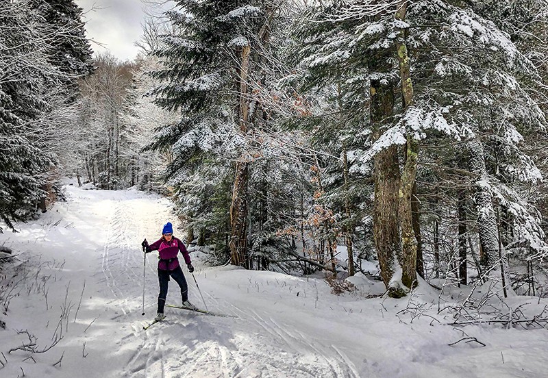 Woman in purple ski jacket cross-country skiing in a bright forest path lined with evergreen trees.