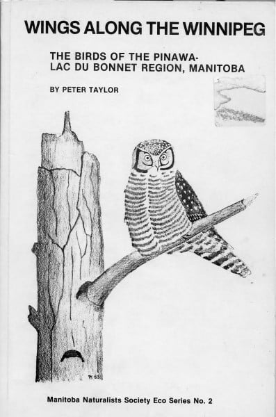 Cover Page Wings138 0