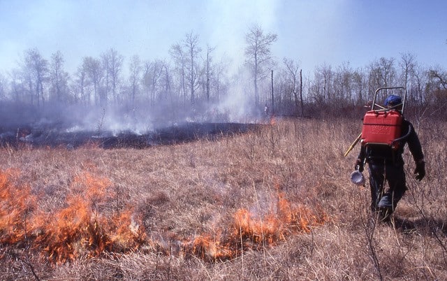 Prairie Burn