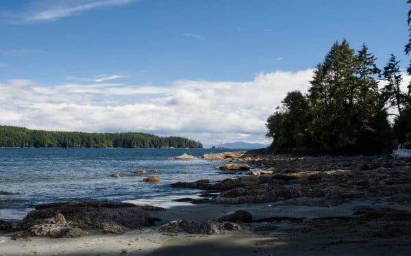 Wct Hike Ronsegstro 0